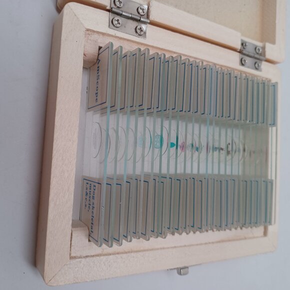 AmScope Microscope Slides In Wooden Box Glass Specimen Science Exploration 25 Pc - Picture 7 of 13